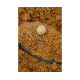Wafter Sonubaits - Spike'um Wafter Meaty Mussel 8mm